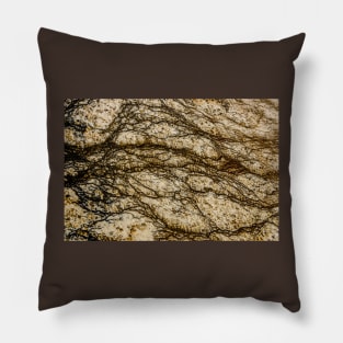 Abstract in Yellowstone National Park Midway Geyser Basin Pillow