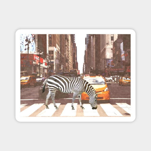 Zebra in New York City Magnet by Alemi