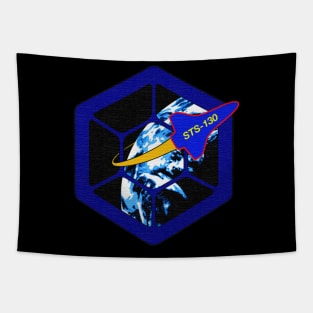 Black Panther Art - NASA Space Badge 90 Tapestry