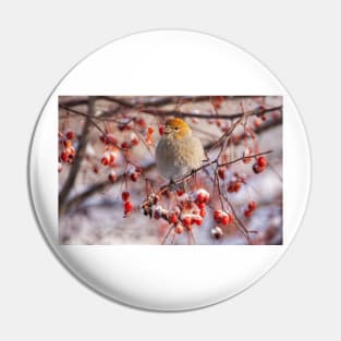 Pine Grosbeak Pin