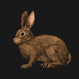 Rabbit 2 T-Shirt