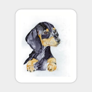 Daisy Dachshund. Magnet