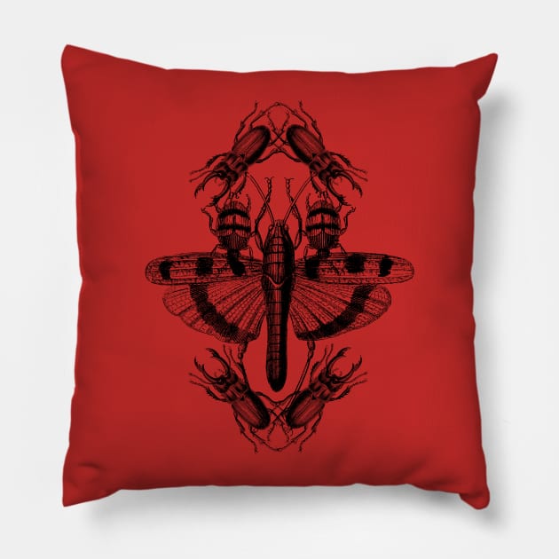 Entomology 2 Pillow by RAdesigns