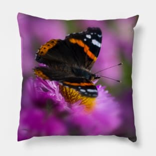 Red Admiral Butterfly on a pink flower Pillow