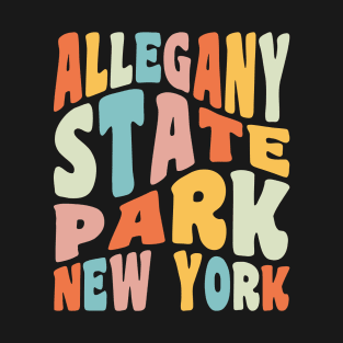 Allegany State Park New York Camping Hiking Retro Vintage T-Shirt