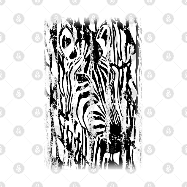 Distressed Zebra by Alan Hogan