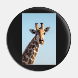 Giraffe portrait, Etosha National Park, Namibia Pin