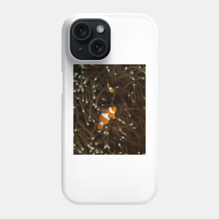 Clownfish on a White-Tipped Anemone Phone Case