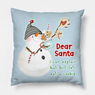 Dear Santa I can explain but first lets eat a cookie Pillow