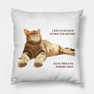 Zen Master Pillow