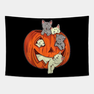 Cats Pumpkin Jack O Lantern Cat Halloween Costume Kids Girls Tapestry