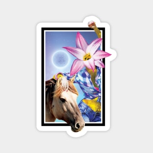 Galaxy girl and horse Magnet