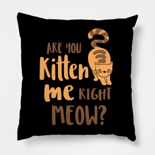 Are You Kitten Me Right Meow Funny Cats And Kittens Pillow