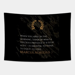 Marcus Aurelius's Morning Reflection: Gratitude for the Gift of Life Tapestry