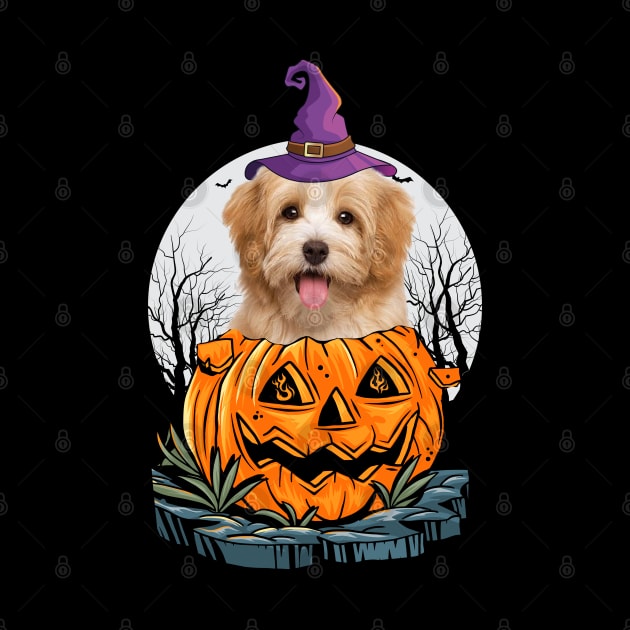 Havanese Halloween Dog Shirt With Witch Hat Pumpkin Funny Gift by CoolTees