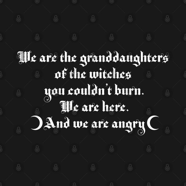 We are the granddaughters of the witches you couldn't burn 2.1 by Blacklinesw9