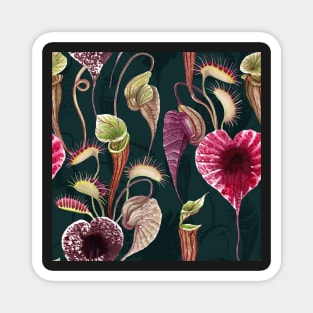 Carnivorous plants floral watercolor print. Pelican flower, Venus Flytrap. Exotic flowers botanical illustration. Magnet