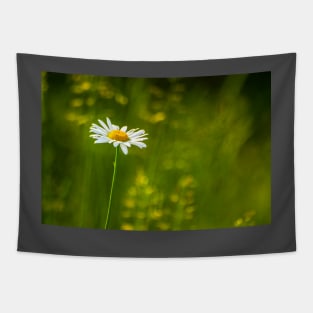 Daisy Tapestry