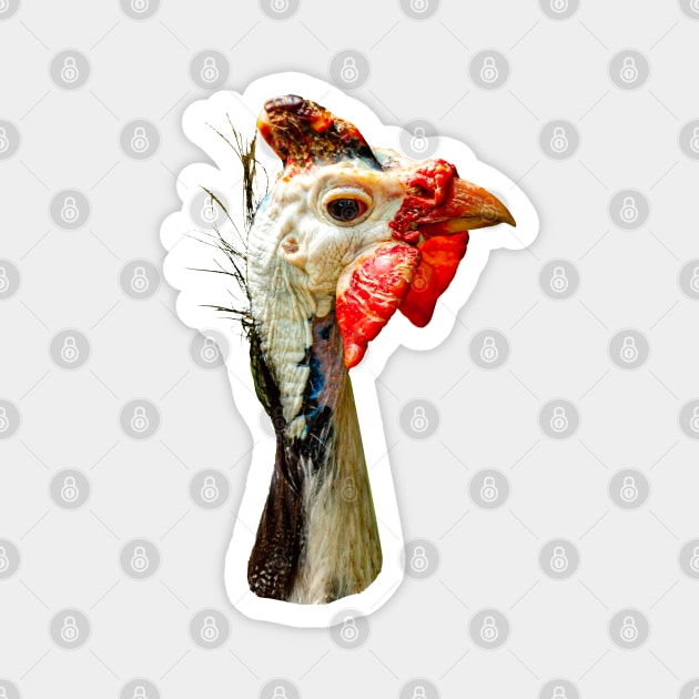 Helmeted Guinea Fowl Magnet by dalyndigaital2@gmail.com