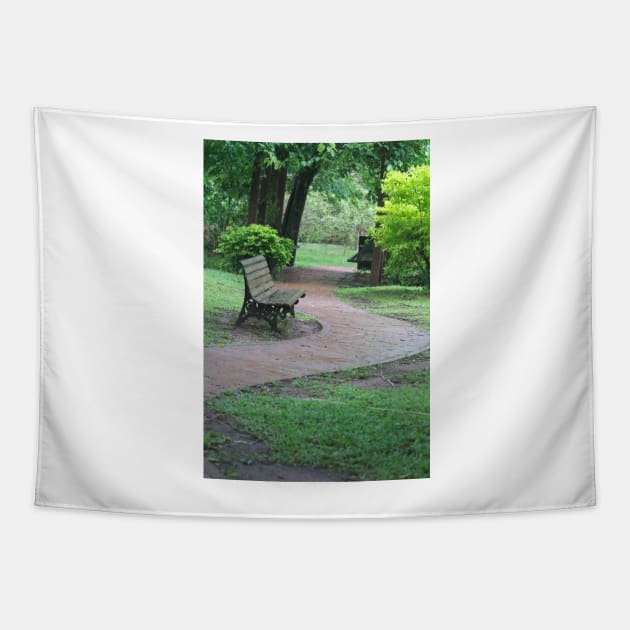 ibs park bench Tapestry by pcfyi