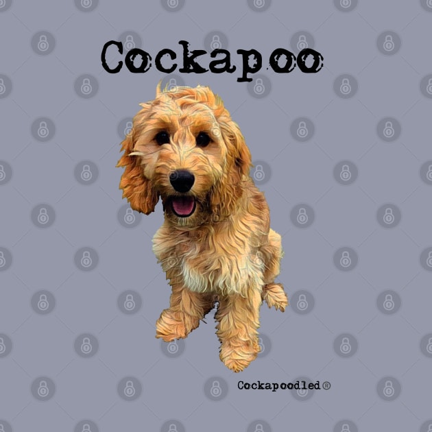 Golden Apricot Cockapoo / Spoodle and Doodle Dog by WoofnDoodle 
