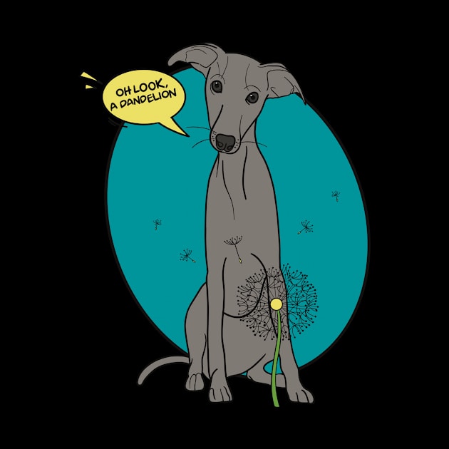 Funny greyhound design; Grey Italian greyhound with a dandelion flower by This Iggy Life