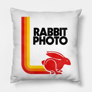 RABBIT PHOTO / 70s Retro Stripe Defunct Film Pillow