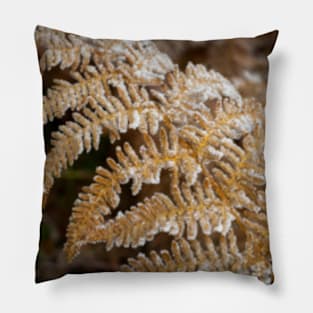 Icy Fern Pillow