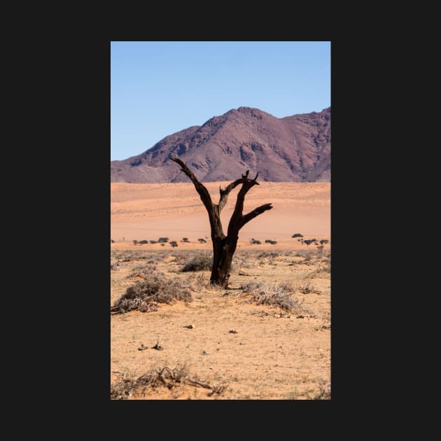One tree in the desert. by sma1050