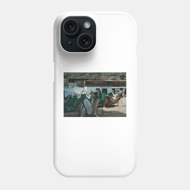 Working Camels Phone Case by luckylucy