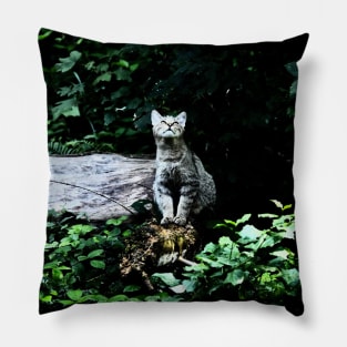 Wild cat II / Swiss Artwork Photography Pillow