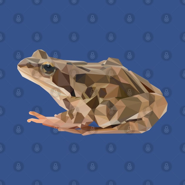 Frog by StephenWillisArt