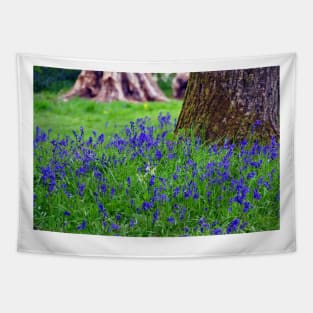 Bluebell Woods Bluebells Basildon Park Reading Berkshire Tapestry