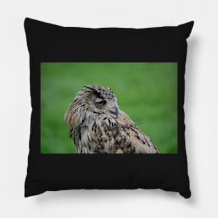Turkmen (turkmenistan) Owl Pillow