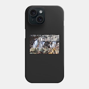 Snares Crested Penguins Phone Case