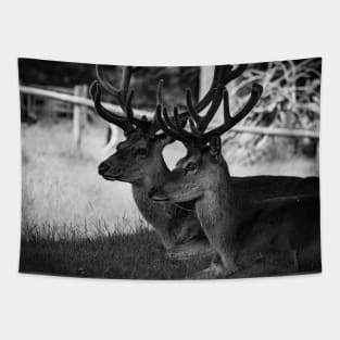 deer 6 Tapestry