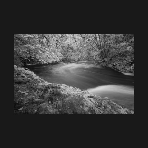 Afon Pyrddin, Pontneddfechan, Brecon Beacons National Park, Wales by dasantillo