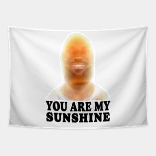 You are my sunshine James meme Tapestry