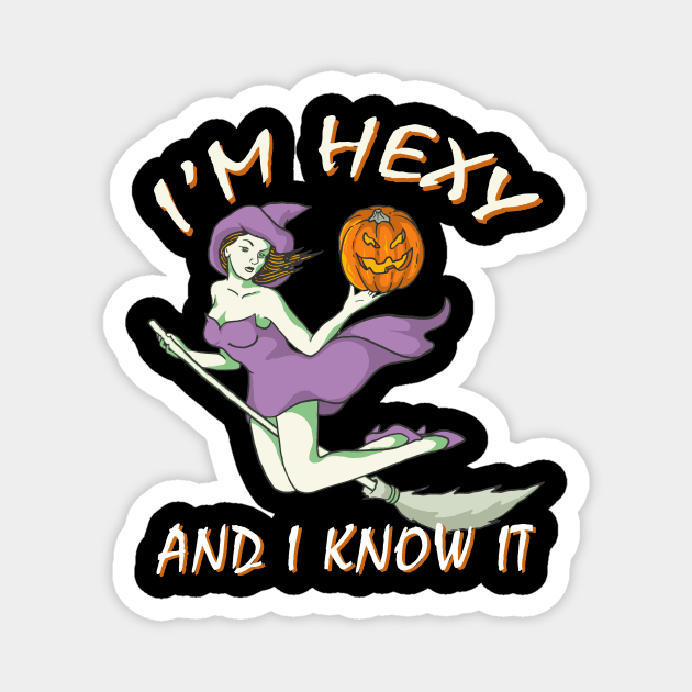 Witch on a Broom with Hexy Saying Magnet by Halloween Merch