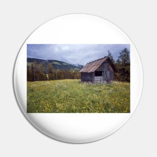 Cabin on the Mountain Pin