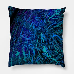 Jeweled Visions 42 Pillow