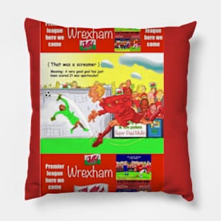 That was a screamer, Wrexham funny football/soccer sayings. Pillow