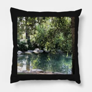 Nature Sticker Pillow