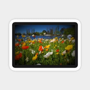 Drowsy Flowers in Spring Magnet