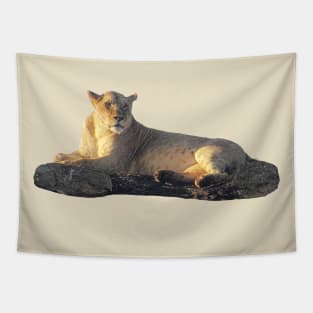 Lioness on the rock - Lion - Predator - Africa Tapestry