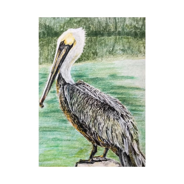 Pelican, color pencil illustration by ShiningLightGallery