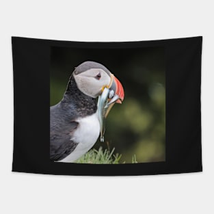 Puffin is back from fishing Tapestry