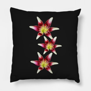 My colorful original, realistic prints - lily flowers Pillow