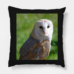 Barn Owl Pillow