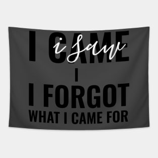 I Came, I Saw, I Forgot What I Came For Funny Gift Tapestry